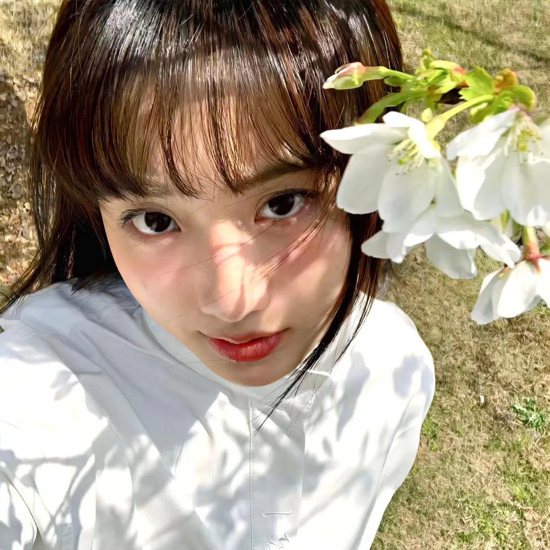 铁汉情花